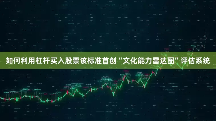 如何利用杠杆买入股票该标准首创“文化能力雷达图”评估系统